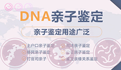 蚌埠DNA鉴定中心收费标准，蚌埠亲子鉴定机构流程是怎样的